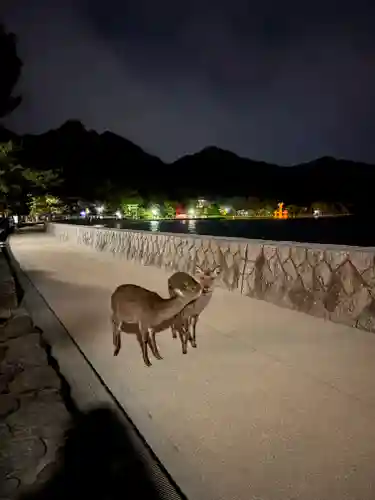 厳島神社(広島県)
