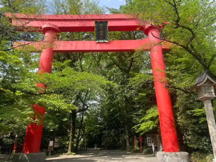 冠稲荷神社の{uncategorized: "未分類", other: "その他", undefined: "問題あり", building: "その他建物", grave: "お墓", sacred_gate: "鳥居", guardian: "狛犬", statue: "像", buddha: "仏像", history: "歴史", nature: "自然", garden: "庭園", animal: "動物", pagoda: "塔", temizu: "手水舎", mountain_gate: "山門・神門", sanctuary: "本殿・本堂", subordinate: "末社・摂社", art: "芸術", scenery: "景色", jizo: "地蔵", ema: "絵馬", goshuin: "御朱印", omikuji: "おみくじ", items: "授与品その他", amulet: "お守り", goshuincho: "御朱印帳", eats: "食事", festival: "お祭り", votive_dance: "神楽", shichigosan: "七五三参", wedding: "結婚式", experience: "体験その他", initially: "初詣", around: "周辺", anti_infection: "感染症対策"}