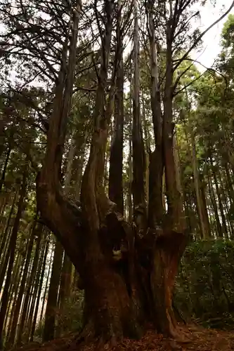 祇園神社(宮崎県)