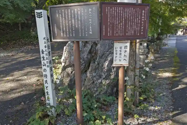 金生山 明星輪寺(岐阜県)