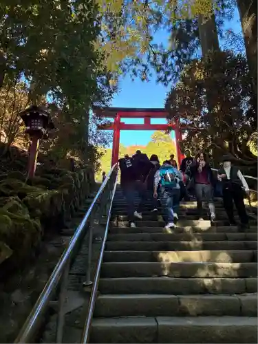 箱根神社(神奈川県)