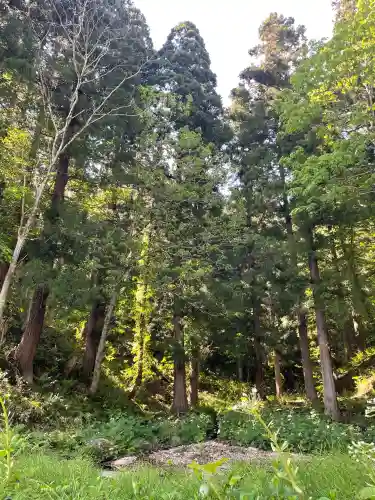 本道寺口之宮湯殿山神社の{uncategorized: "未分類", other: "その他", undefined: "問題あり", building: "その他建物", grave: "お墓", sacred_gate: "鳥居", guardian: "狛犬", statue: "像", buddha: "仏像", history: "歴史", nature: "自然", garden: "庭園", animal: "動物", pagoda: "塔", temizu: "手水舎", mountain_gate: "山門・神門", sanctuary: "本殿・本堂", subordinate: "末社・摂社", art: "芸術", scenery: "景色", jizo: "地蔵", ema: "絵馬", goshuin: "御朱印", omikuji: "おみくじ", items: "授与品その他", amulet: "お守り", goshuincho: "御朱印帳", eats: "食事", festival: "お祭り", votive_dance: "神楽", shichigosan: "七五三参", wedding: "結婚式", experience: "体験その他", initially: "初詣", around: "周辺", anti_infection: "感染症対策"}