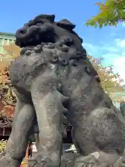 根津神社の狛犬