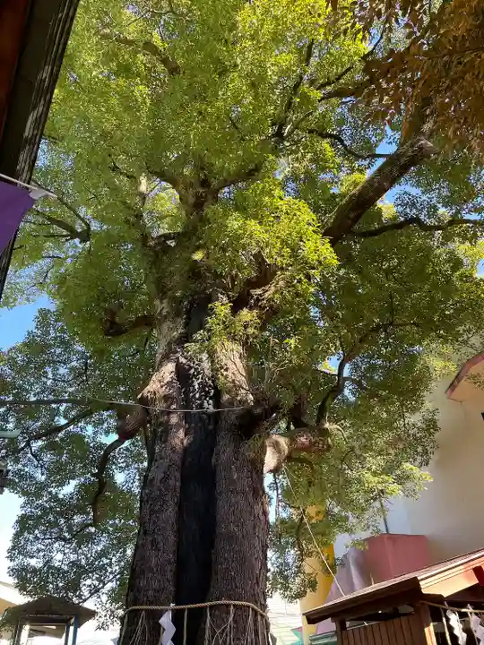 五方山熊野神社(東京都)