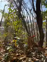 柾木稲荷大明神(岡山県)