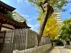 阿遅速雄神社(大阪府)