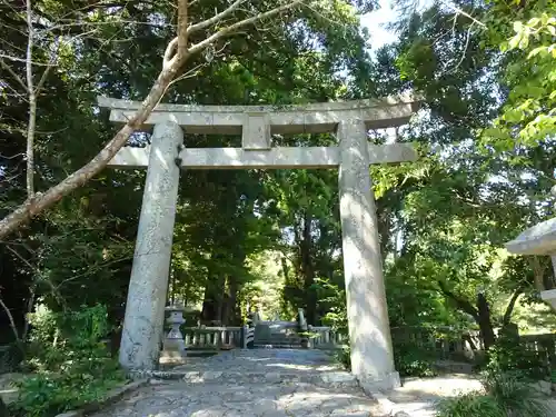 櫻井神社の鳥居