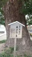 宝泉寺の建物その他