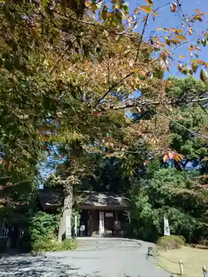 阿佐ヶ谷神明宮(東京都)