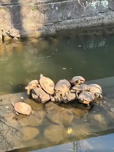 磐井神社(東京都)