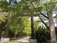 冨士御室浅間神社(山梨県)