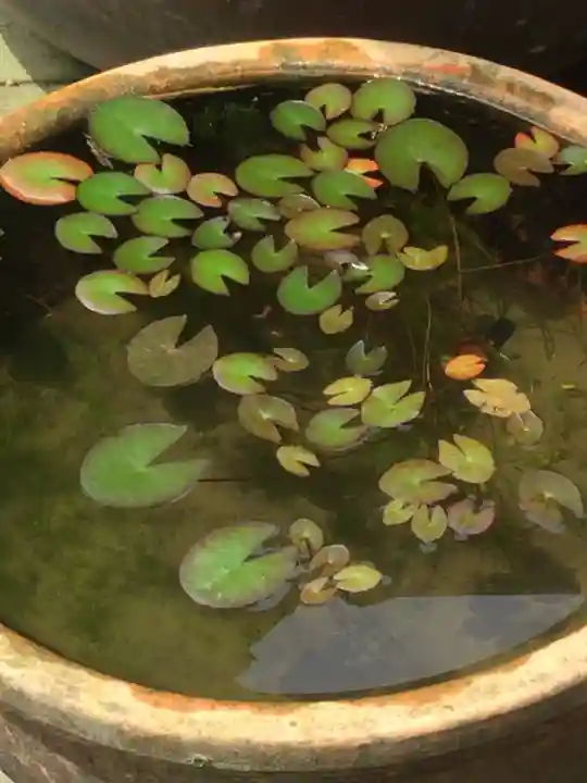 海蔵寺のその他建物
