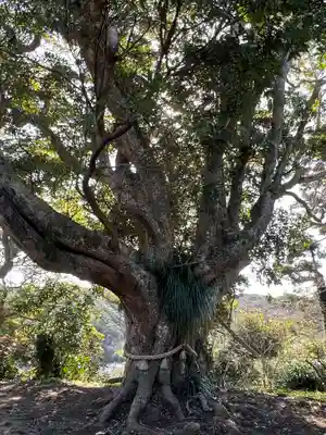 遠見岬神社(千葉県)