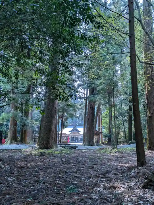 伊和神社の{uncategorized: "未分類", other: "その他", undefined: "問題あり", building: "その他建物", grave: "お墓", sacred_gate: "鳥居", guardian: "狛犬", statue: "像", buddha: "仏像", history: "歴史", nature: "自然", garden: "庭園", animal: "動物", pagoda: "塔", temizu: "手水舎", mountain_gate: "山門・神門", sanctuary: "本殿・本堂", subordinate: "末社・摂社", art: "芸術", scenery: "景色", jizo: "地蔵", ema: "絵馬", goshuin: "御朱印", omikuji: "おみくじ", items: "授与品その他", amulet: "お守り", goshuincho: "御朱印帳", eats: "食事", festival: "お祭り", votive_dance: "神楽", shichigosan: "七五三参", wedding: "結婚式", experience: "体験その他", initially: "初詣", around: "周辺", anti_infection: "感染症対策"}