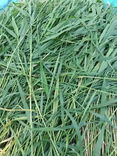 厚別神社(北海道)