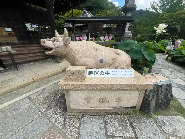 三室戸寺(京都府)