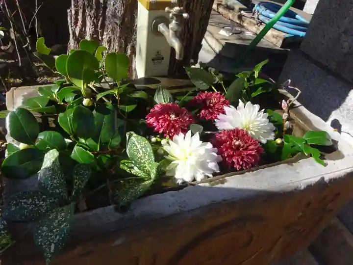 菊名神社の手水舎