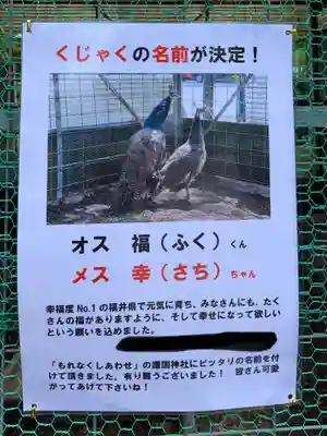 福井県護国神社(福井県)