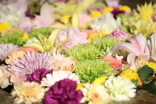 紅葉八幡宮の手水舎