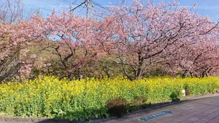 須佐乃男神社 の自然