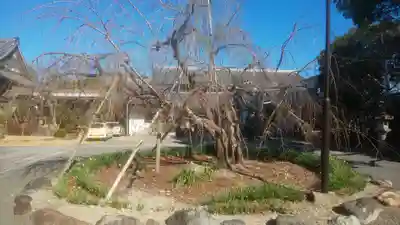 満福寺（三好稲荷閣）(愛知県)