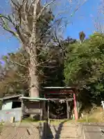 白山神社(千葉県)