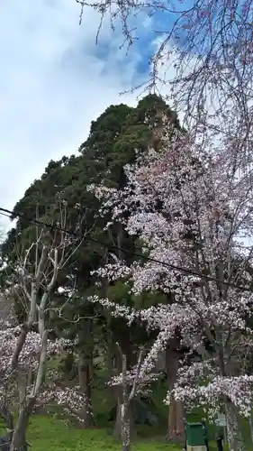 有珠善光寺の自然