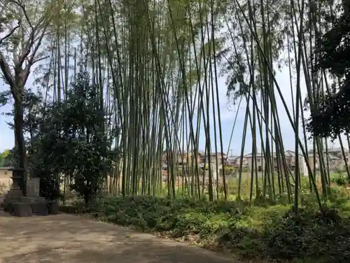 神川神社の自然