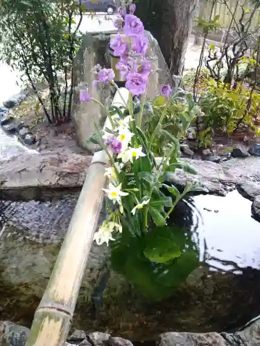 阿智神社の手水