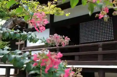 橘寺のその他建物