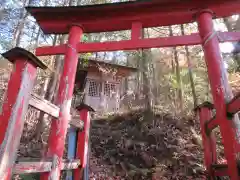 琴平神社(埼玉県)