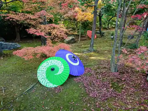 勝林寺の庭園