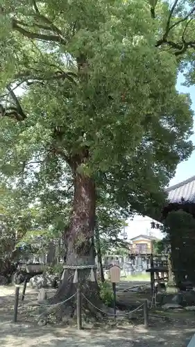 龍泉寺（足利厄除大師）(栃木県)