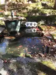 永源寺の庭園