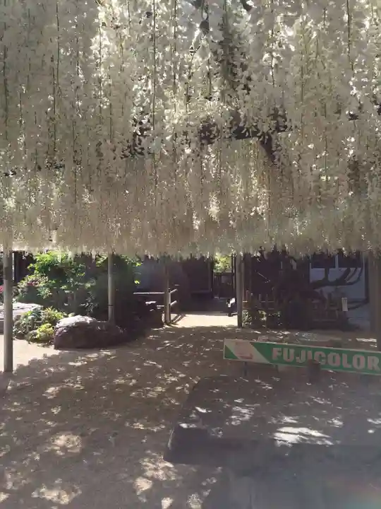 吉祥寺の御朱印