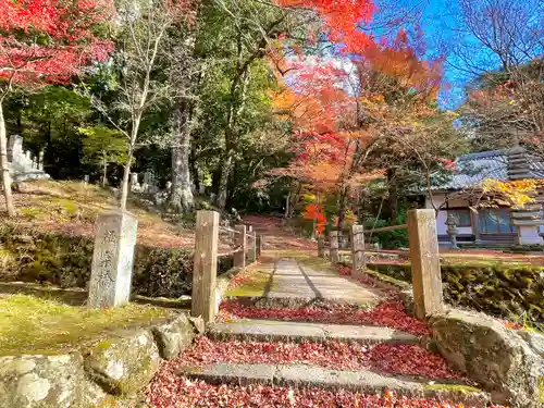 東光寺の建物その他