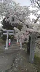 高司神社〜むすびの神の鎮まる社〜の鳥居