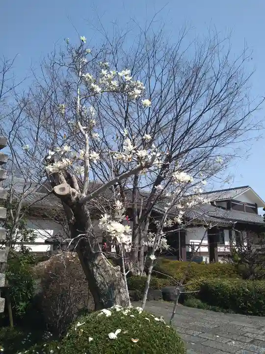 松月院(東京都)