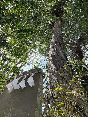 星宮神社(栃木県)