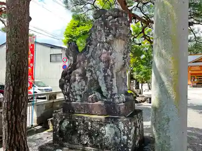 飛驒天満宮の狛犬