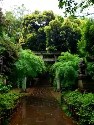 赤坂氷川神社(東京都)
