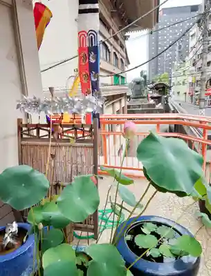 福寿観音の自然