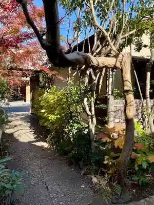 宗周院(東京都)