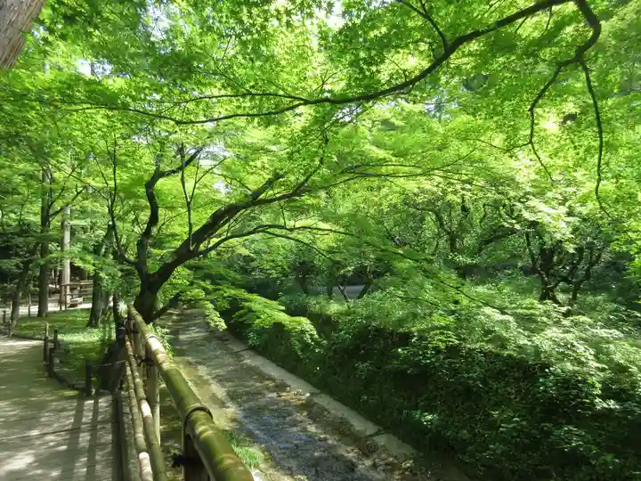 北野天満宮の庭園