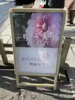 鶴岡八幡宮の体験その他