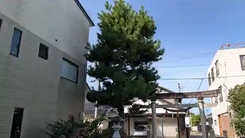 西之神祠の自然