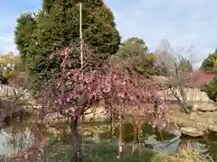 曽根天満宮の庭園