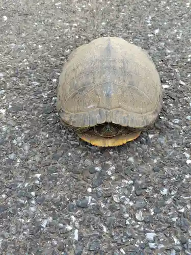金龍院(千葉県)