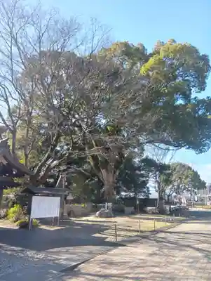 岐阜護國神社(岐阜県)