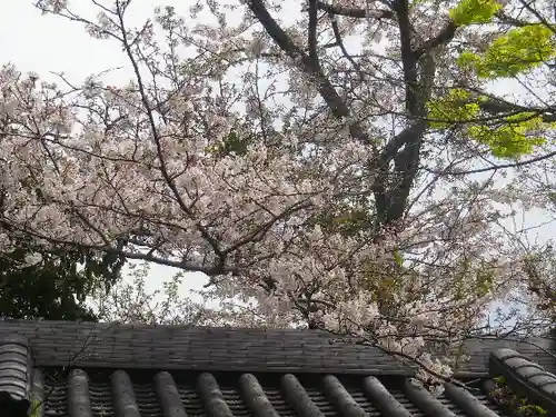 浄光明寺の自然